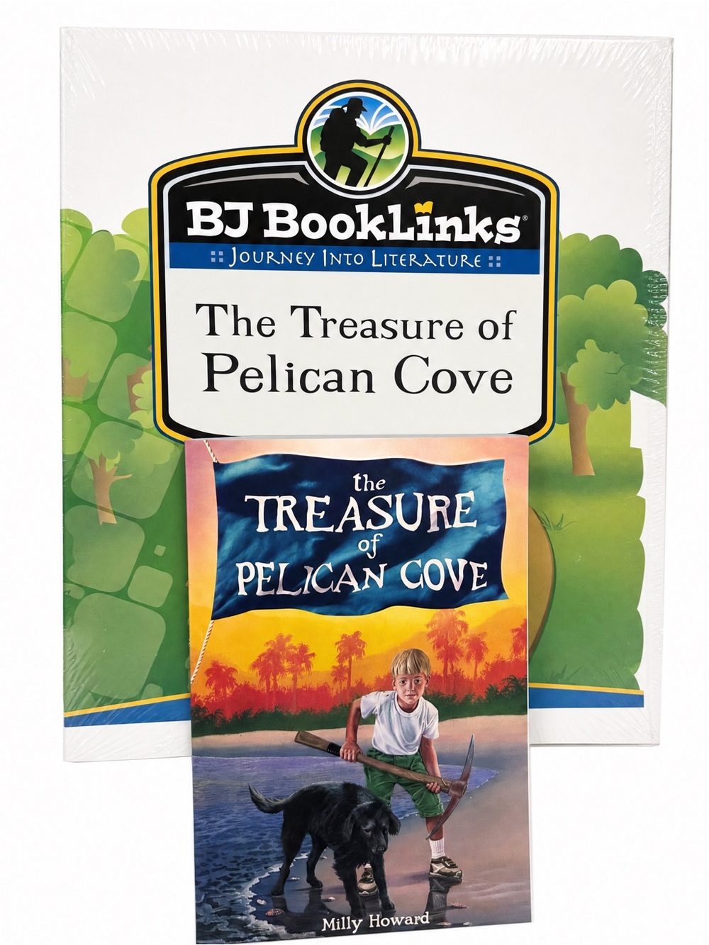 BJ BookLinks|The Treasure of Pelican Cove|Grade 2|NEW&Factory Sealed